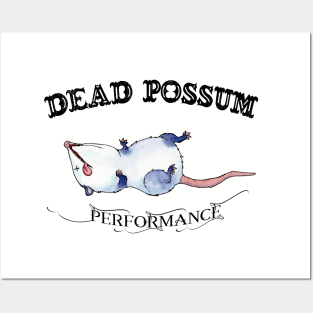 Dead Possum Performance Posters and Art